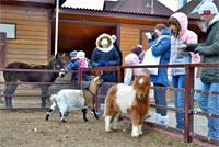 Экскурсии для общественных организаций 